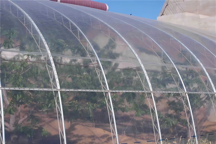 PO Agricultural Plantings Film