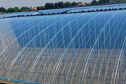 PO Greenhouse Plastic Film For Raspberry